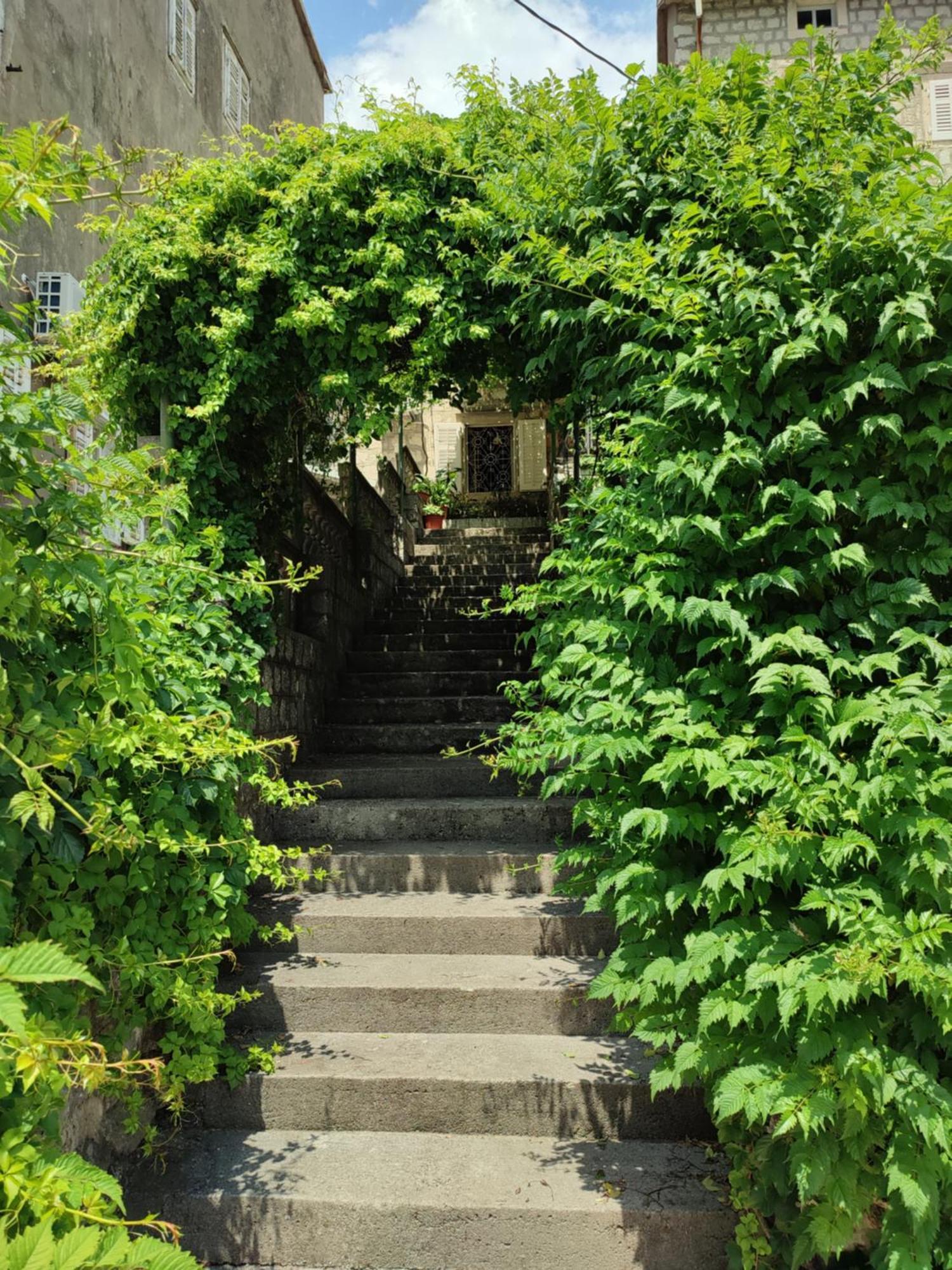 Guesthouse Žmukić Perast Eksteriør billede